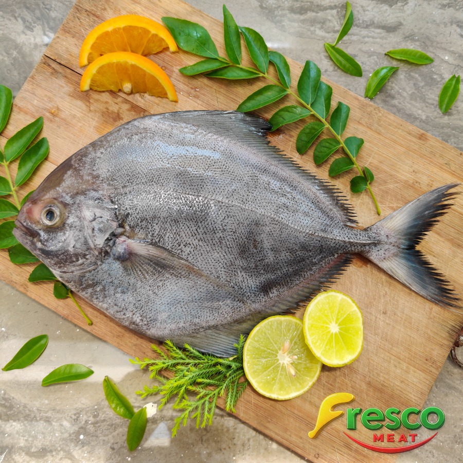 Fish & Seafood